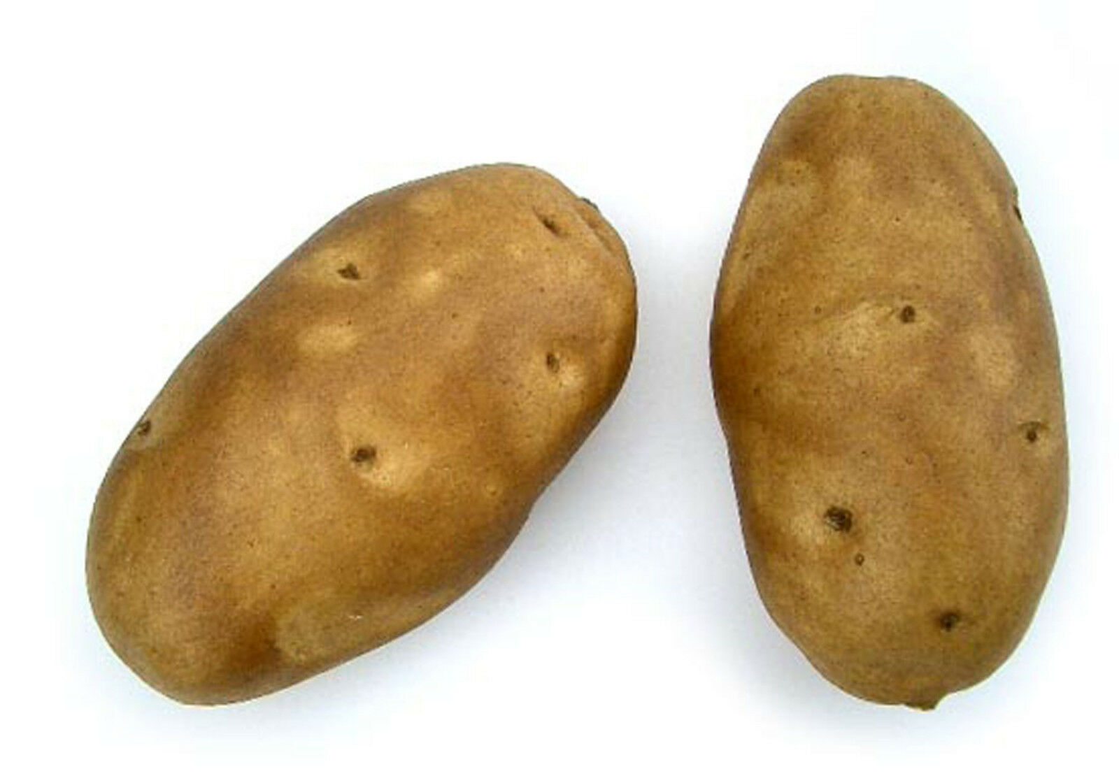 Artificial Brown Baking Potato Decorative Fake Vegetable Spud Bag Of 6 Idaho